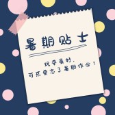 模板缩略图