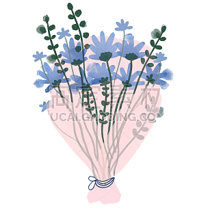 花卉植物插画元素主题素材