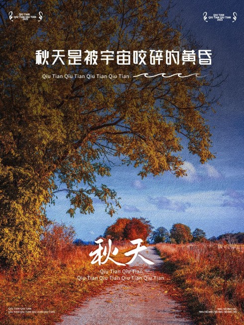 秋天极简风景晒照plog预览效果