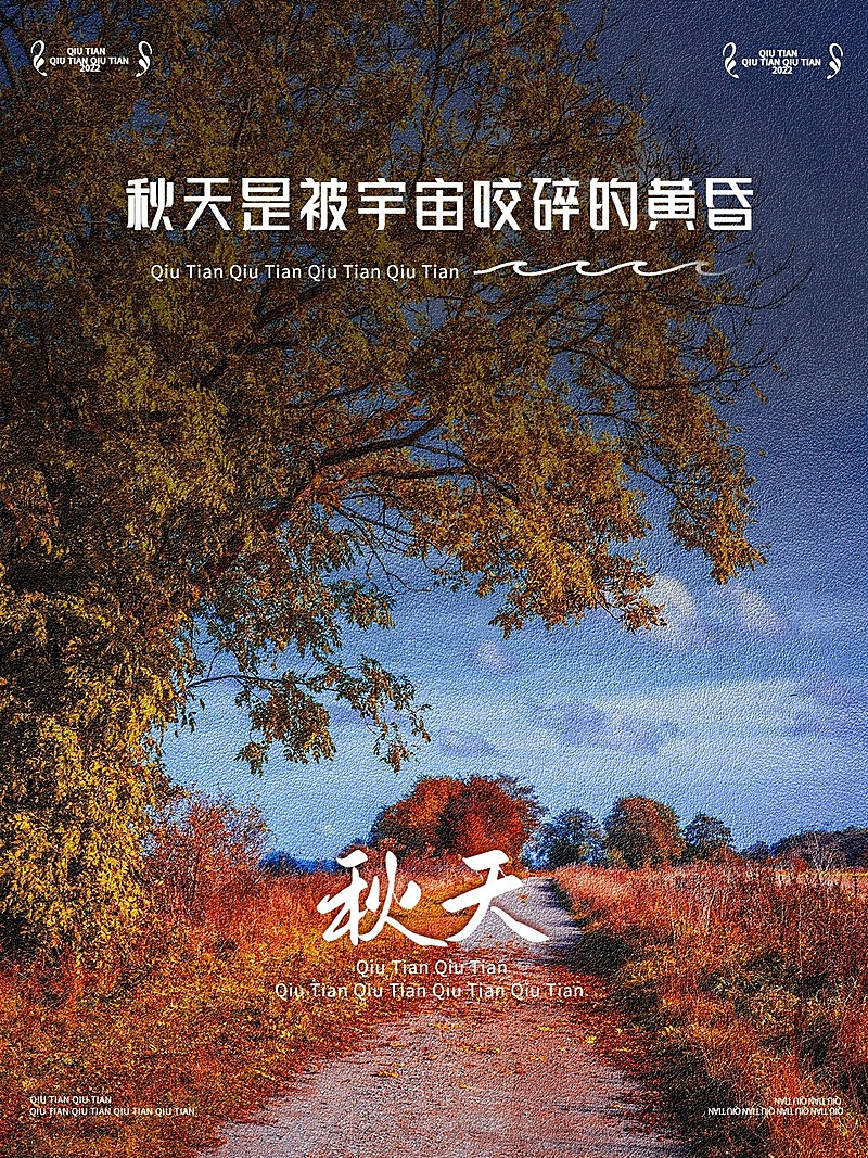 秋天极简风景晒照plog