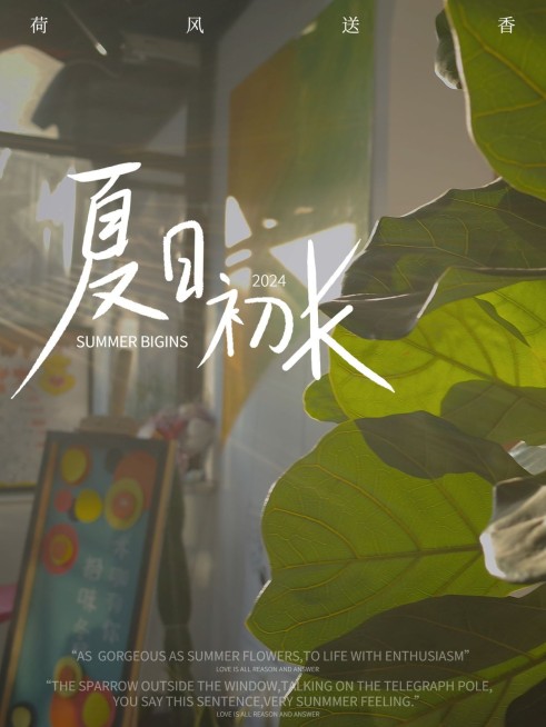 小暑节气祝福生活分享文艺风plog模板预览效果