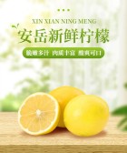 模板缩略图