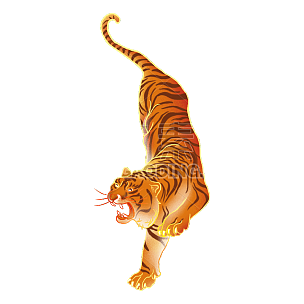 中国风-手绘动物插画贴纸-老虎