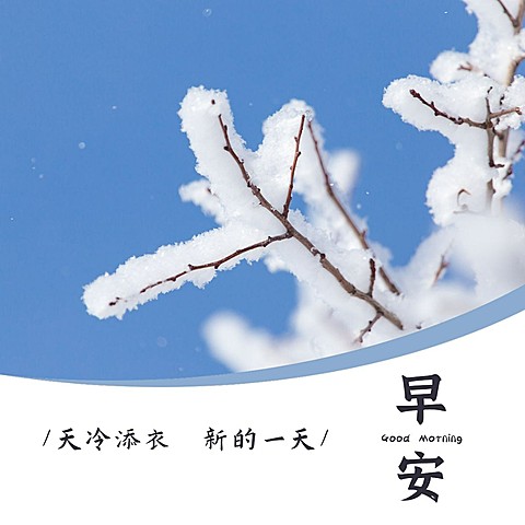 早安冬天降温保暖简约方形海报