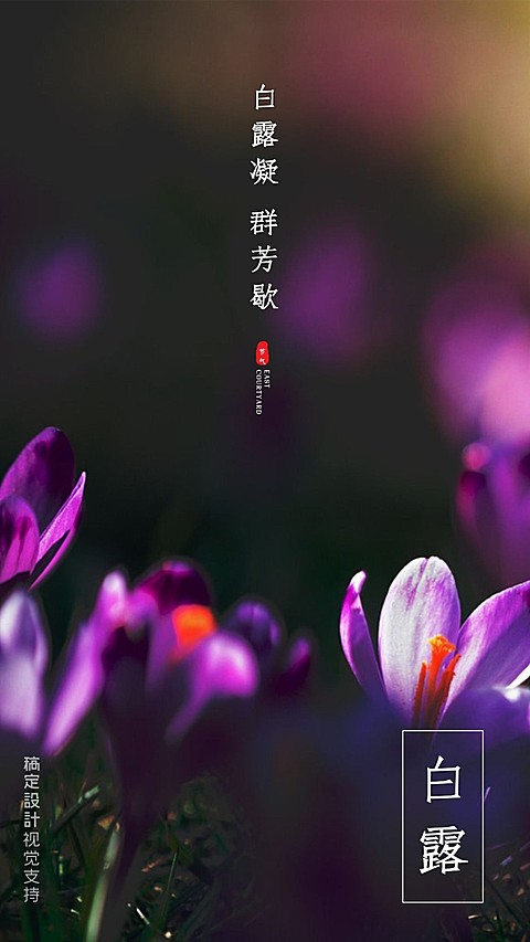 传统节气白露打卡正能量问候