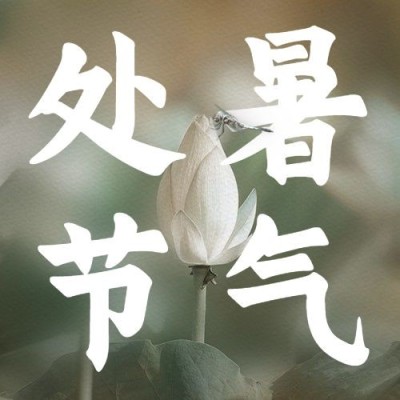 处暑节气祝福问候莲花公众号次图