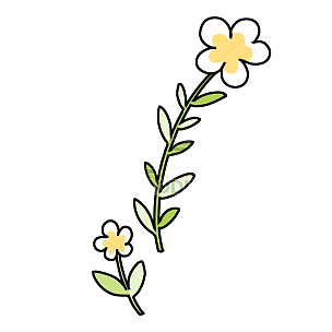 手绘风-植物元素-花朵