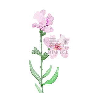 手绘-水彩花卉植物贴纸3