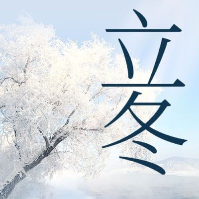 立冬节气树枝落雪实景祝福公众号次图