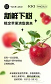 模板缩略图