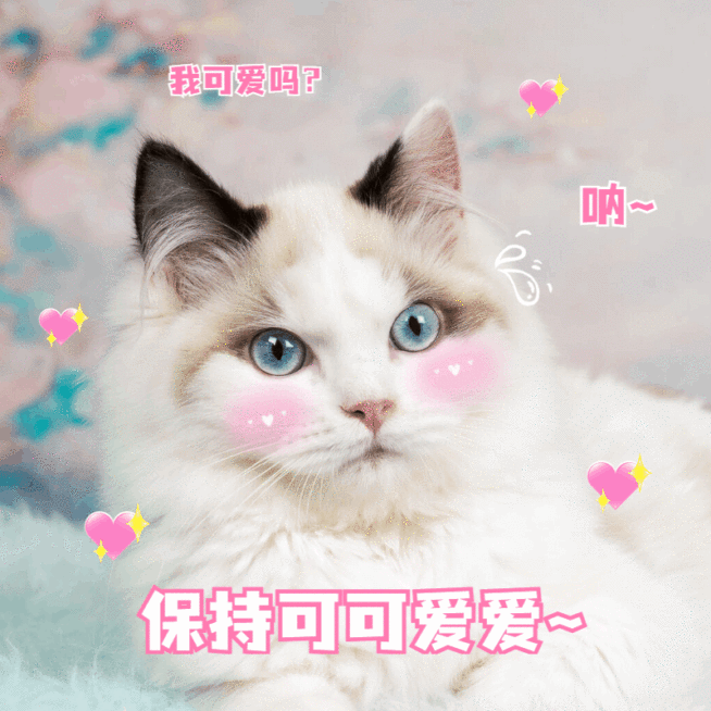萌宠晒照宠物猫猫晒图模板-拒绝营业预览效果