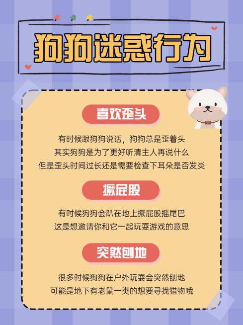 手帐风萌宠攻略小红书配图预览效果