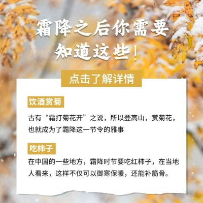 霜降节气祝福实景枫叶方形海报