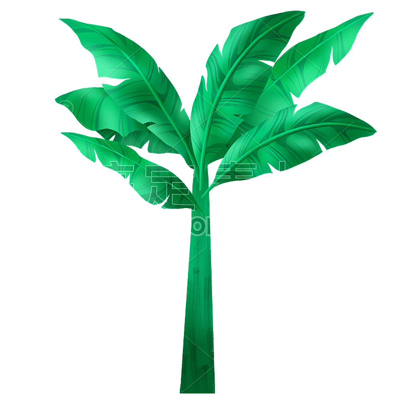 手绘-热带动植物贴纸-芭蕉树
