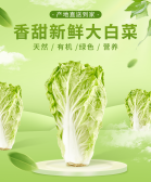 模板缩略图