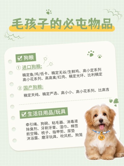 宠物知识科普小红书内页