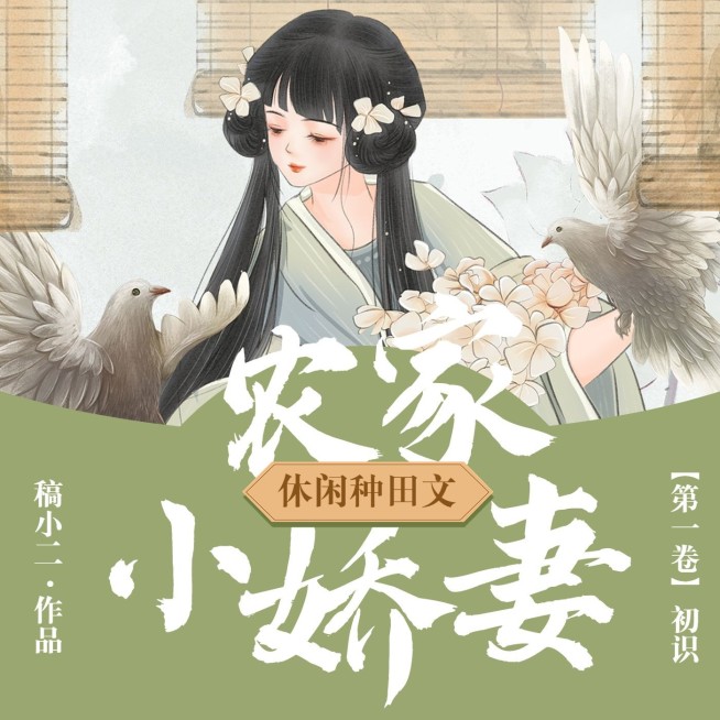 古风小说有声书专辑FM电台封面预览效果