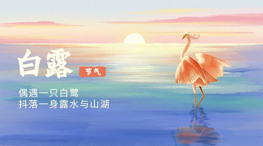 白露节气祝福白鹭手绘横版海报预览效果