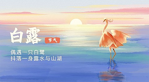 白露节气祝福白鹭手绘横版海报