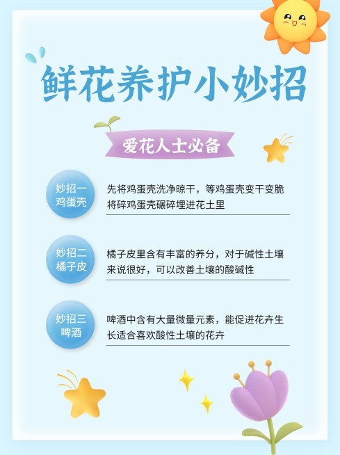 拟手帐风家居知识科普小红书配图预览效果