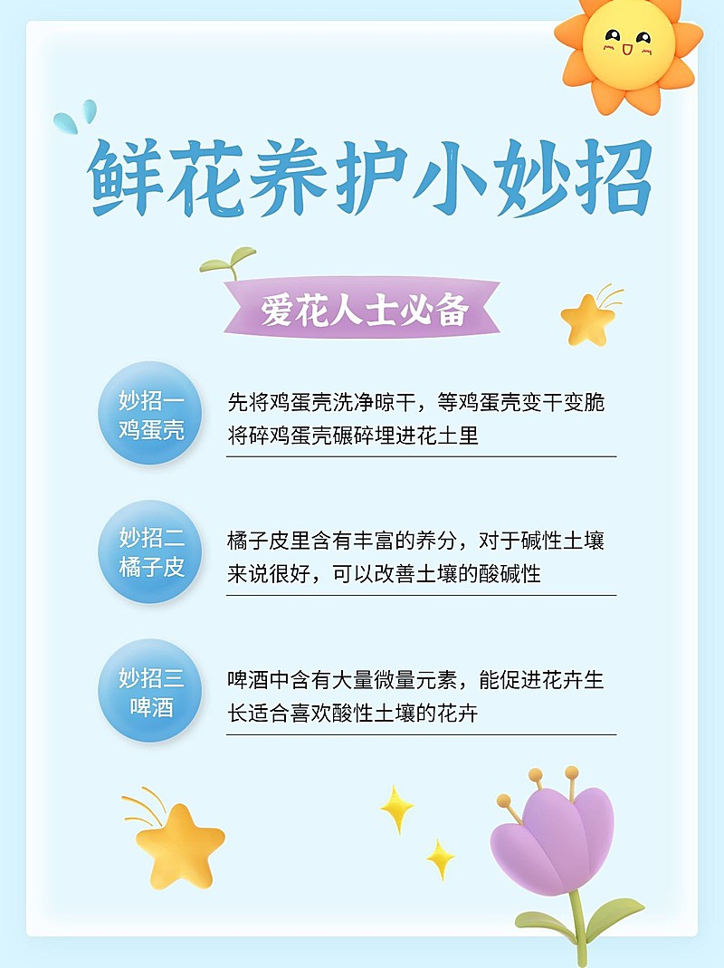 拟手帐风家居知识科普小红书配图