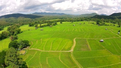 鸟瞰稻田和山景