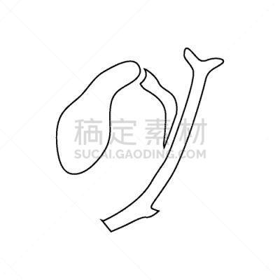 轮廓,胆囊,计算机图标,分离着色,白色,黄疸病,胞囊的,图像,胆汁,生病