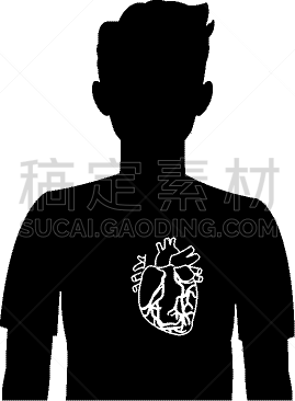 男人,人类心脏,生理学,生物学,矢量,图表,膀胱,图像,剪影,生病