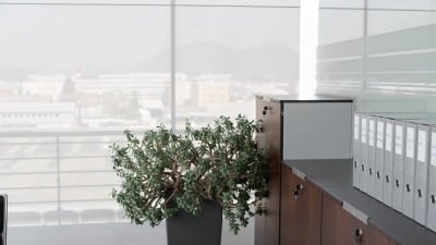 女人在会议桌上放戒指活页夹