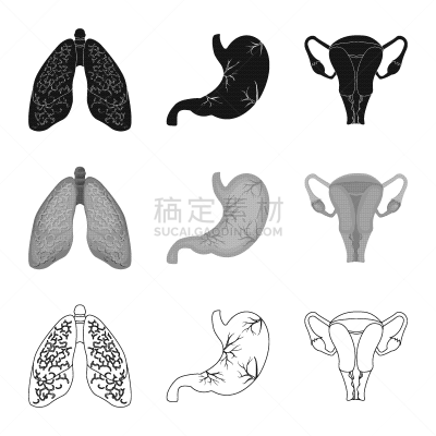人,品牌名称,人类的生殖器官,卵巢,细支气管,生病,腹泻,收集