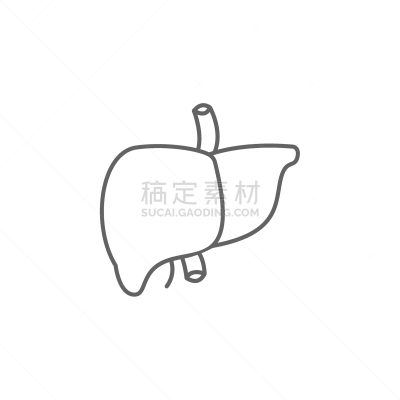 健康保健,肝脏,计算机图标,细的,人体内脏器官,线图标,人体,生物学,有序,清新