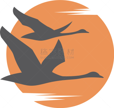 天鹅,太阳,计算机图标,分离着色,自然,图像,动物,鸟类,品牌名称,飞