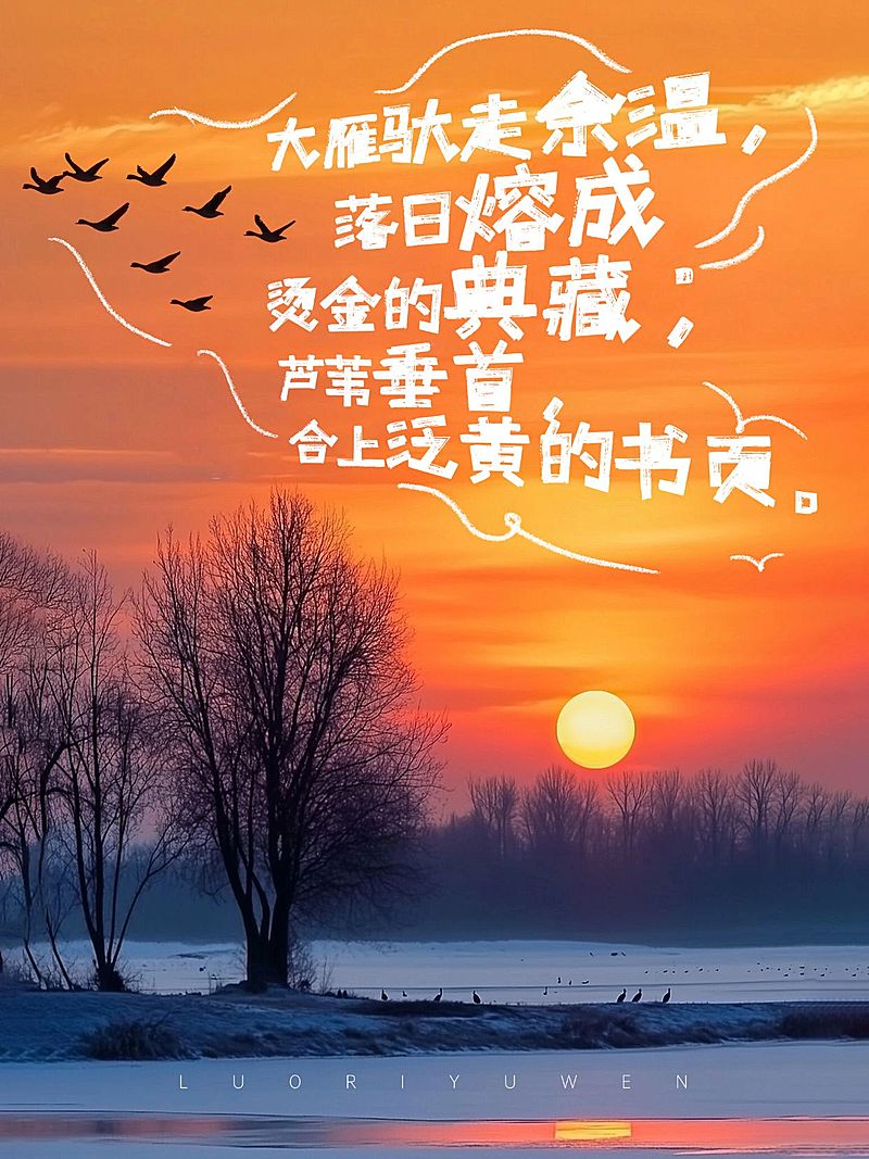 秋天氛围感情感语录松弛感实景图文排版小红书封面