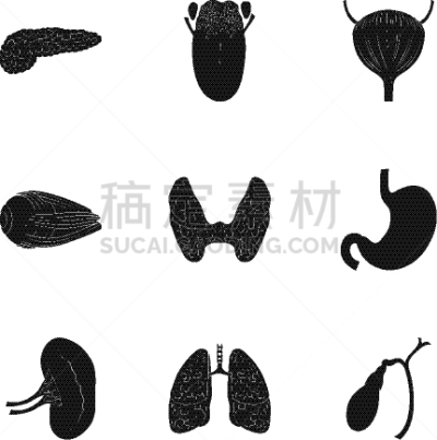 巨大的,黑色,时尚,计算机图标,分离着色,人,图像,布置,收集