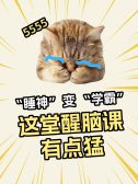 模板缩略图