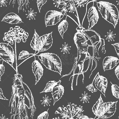 草图,墨水,植物学,四方连续纹样,传统,健康保健,药,滴瓶,植物群,写实
