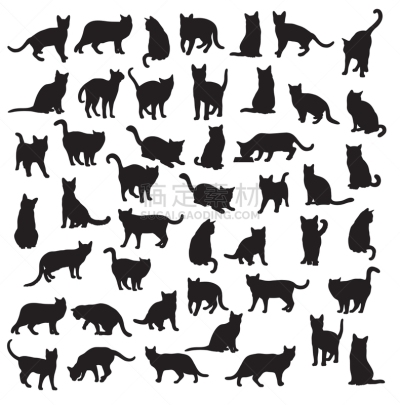 宠物,猫,动物,秘密行动,图像,哺乳纲,设计元素,矢量,坐,剪影