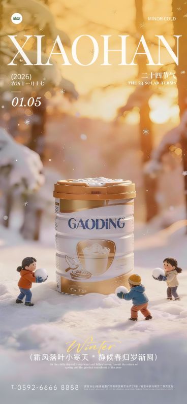 小寒节气祝福商品零售微缩场景全屏竖版海报预览效果