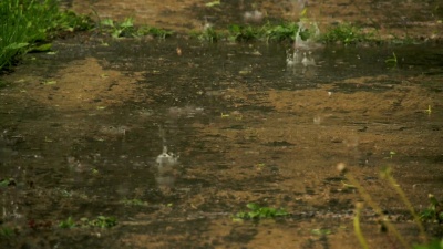 雨中的雨滴