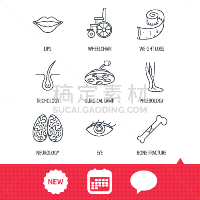 神经系统,脑,人的眼睛,计算机图标,轮椅,轮廓,健康保健,骨折,演讲