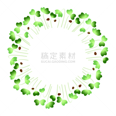 microgreens daikon radish arranged in a circle