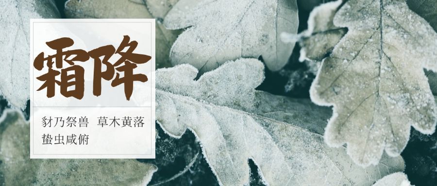 霜降二十四节气公众号首图预览效果