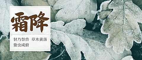 霜降二十四节气公众号首图