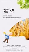 模板缩略图