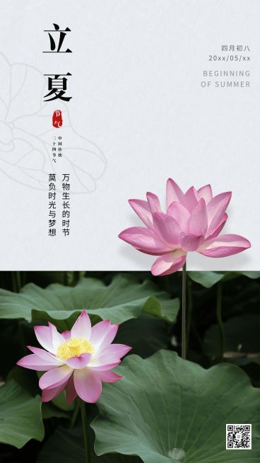 立夏节气实景荷花手机海报预览效果