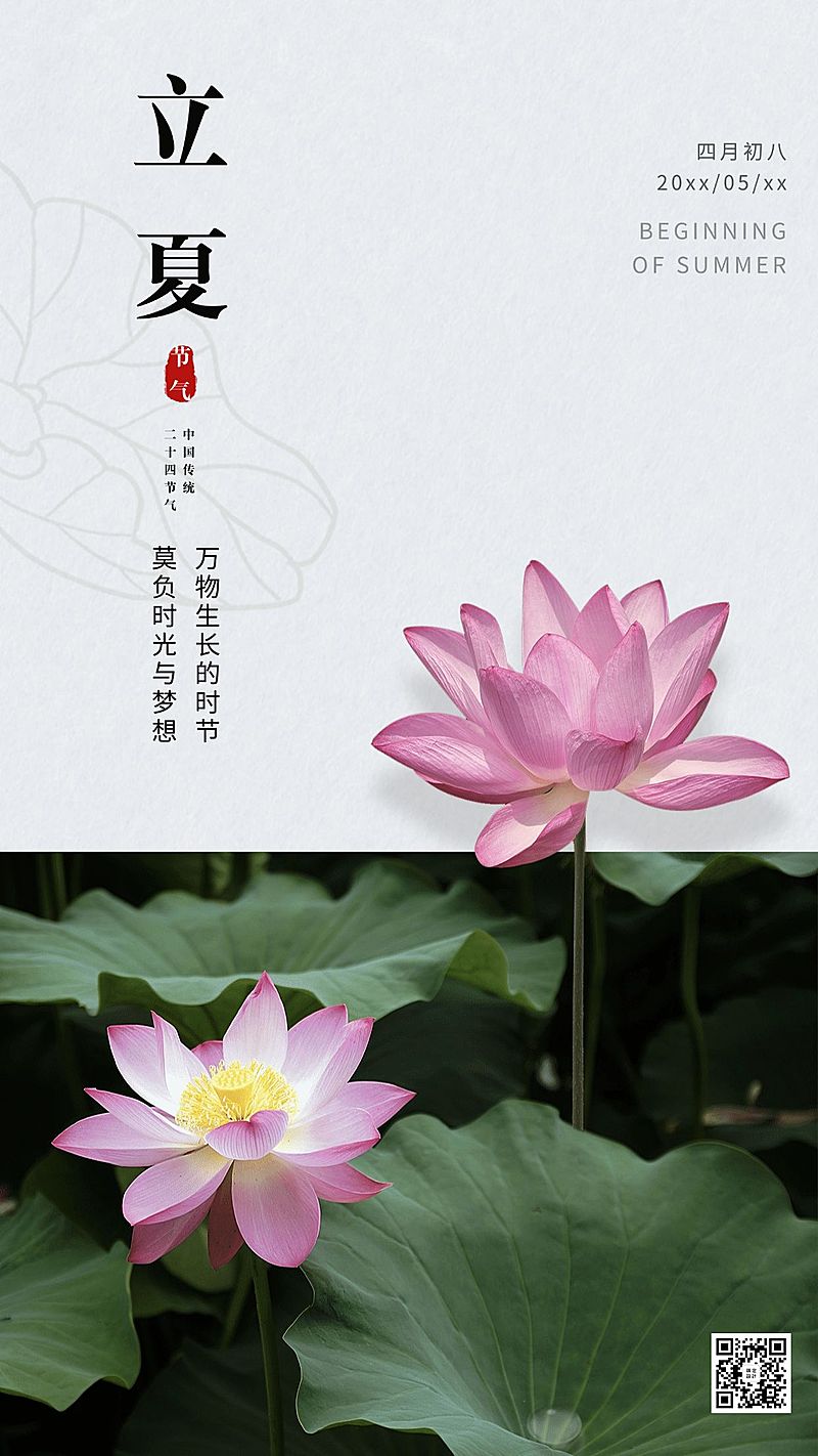 立夏节气实景荷花手机海报