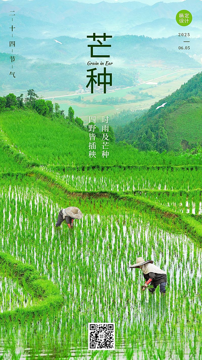 芒种节气祝福合成手机海报