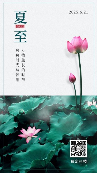 夏至节气莲花鱼塘图框实景手机海报预览效果
