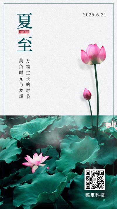 夏至节气莲花鱼塘图框实景手机海报