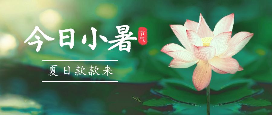 小暑节气夏天荷花莲花公众号首图预览效果